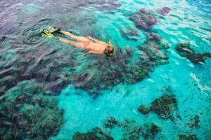Snorkel Tours to Shallow Coral Reefs at Pennekamp Underwater Park - What’s included (and what costs extra): gear matters more than you think
