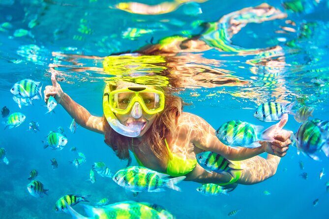 Snorkel Tours to Shallow Coral Reefs at Pennekamp Underwater Park - Reef stops in order: what each one is likely doing for you