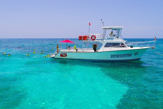 Snorkel Tours to Shallow Coral Reefs at Pennekamp Underwater Park - Price and value: $75 for shallow reef time (and the hidden extras)