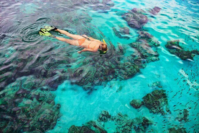 Snorkel Tours to Shallow Coral Reefs at Pennekamp Underwater Park - What’s included (and what costs extra): gear matters more than you think