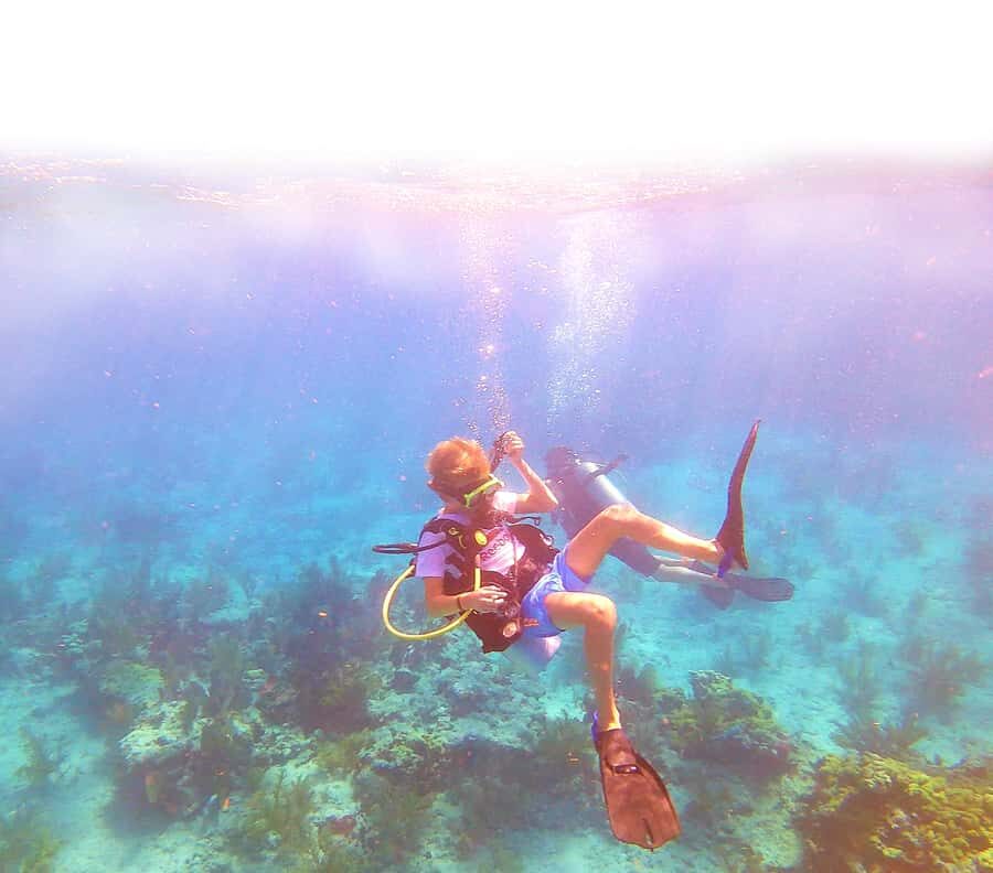 Southpoint Divers: Afternoon Reef Dive Trip - Key things that make this afternoon reef outing work