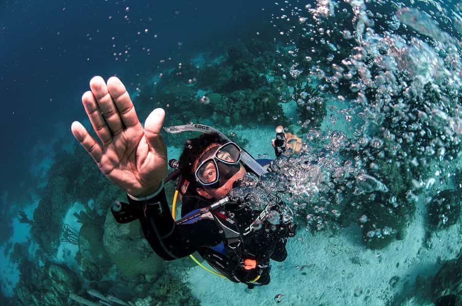 Southpoint Divers: Afternoon Reef Dive Trip - Two reef sites with flexible location choice from the captain
