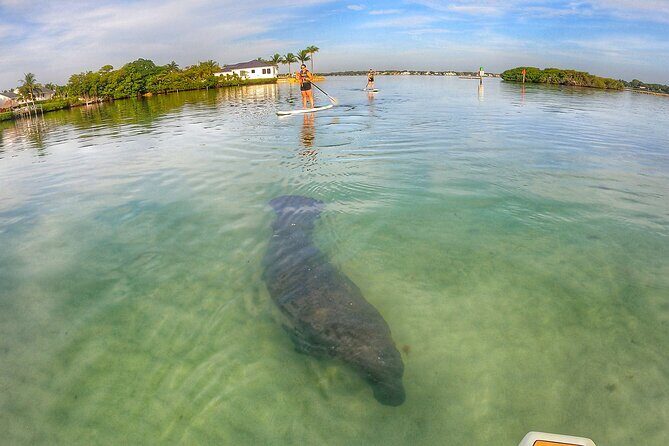 Sunrise Paddle Boarding Adventure in Jupiter - Stop-by-stop: what each area feels like on the water