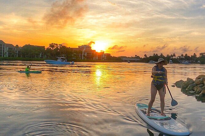Sunrise Paddle Boarding Adventure in Jupiter - Wildlife viewing: how to get the best chances without needing superhuman eyesight