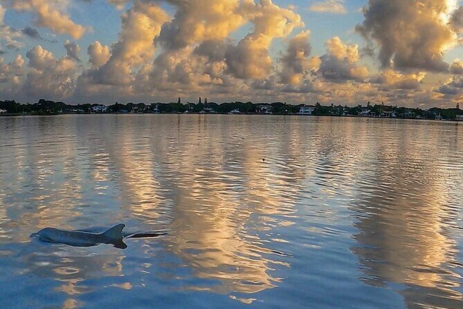 Sunrise Paddle Boarding Adventure in Jupiter - The included gear is a real part of the value