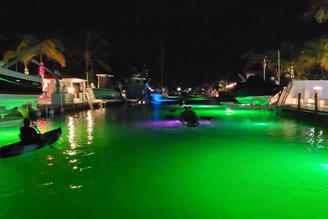 Sunset Kayak Adventure with Enchanting Underwater Lights - What Makes This Tour Special
