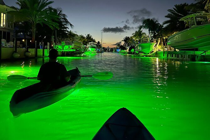 Sunset Kayak Adventure with Enchanting Underwater Lights - Sunset Kayaking on the Edge of Key Largo (Starting at 5:00 pm)
