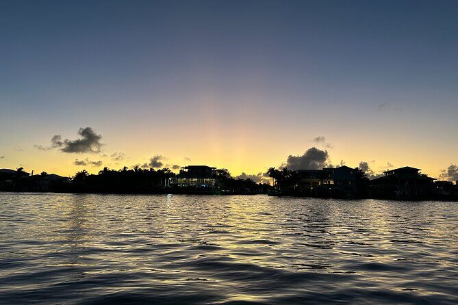 Sunset Kayak Adventure with Enchanting Underwater Lights - Wildlife at Dusk: Fish, Birds, and a Manatee Moment If You’re Lucky