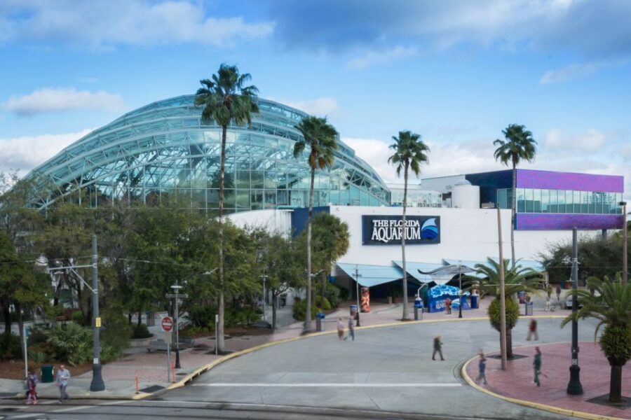Tampa Bay CityPASS®: Save up to 55% at 5 Top Attractions - How Tampa Bay CityPASS Turns 5 Attractions Into One Easy Plan