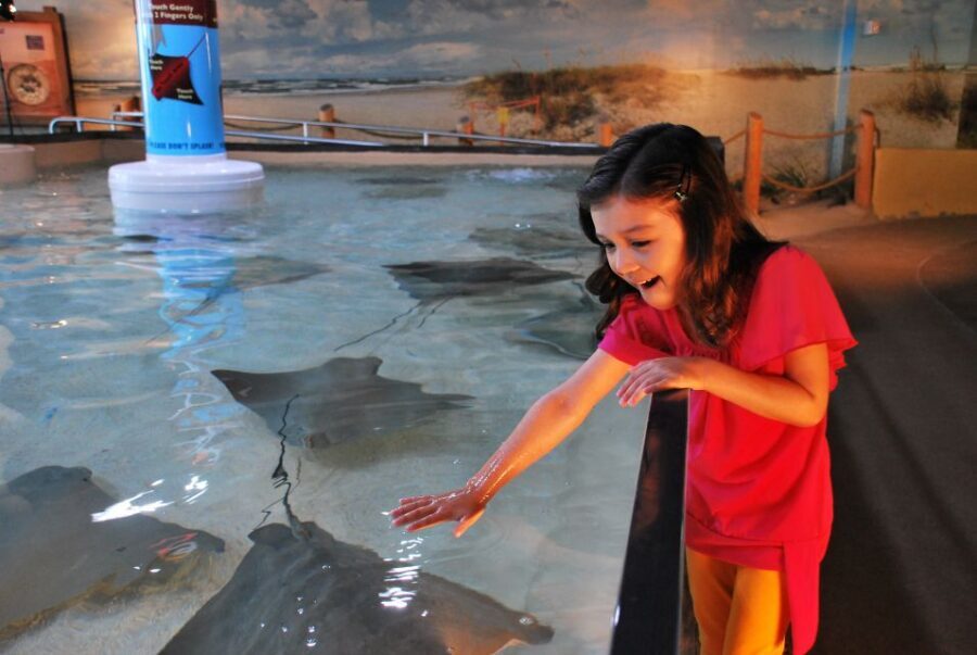 Tampa Bay CityPASS®: Save up to 55% at 5 Top Attractions - Should You Book Tampa Bay CityPASS®?