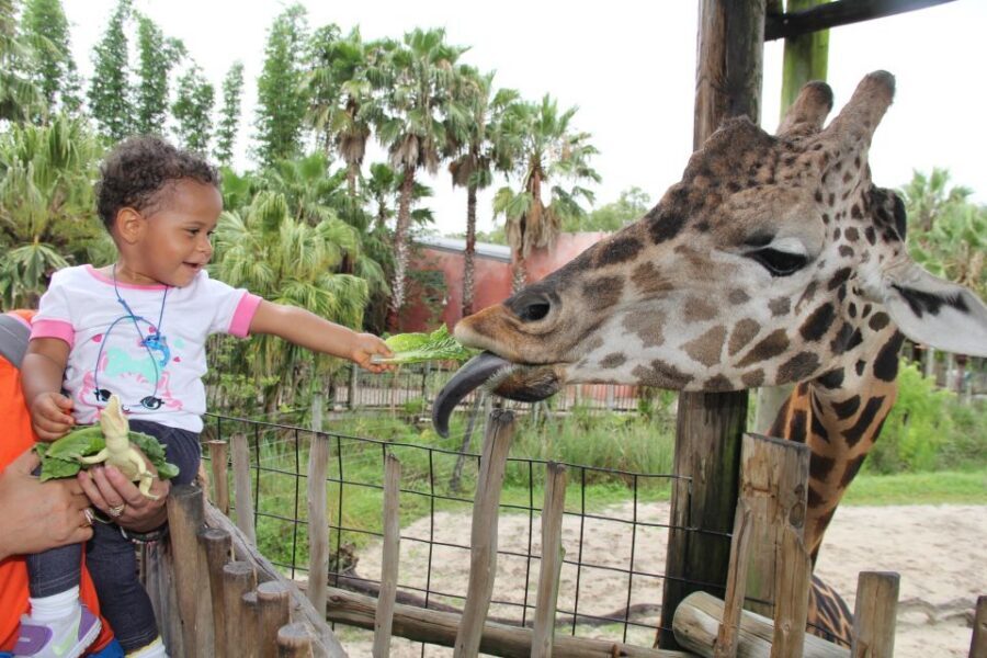 Tampa Bay CityPASS®: Save up to 55% at 5 Top Attractions - Who This Pass Fits Best