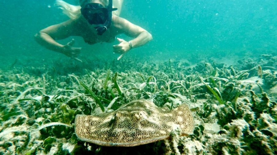 West Palm Beach: Beginner Scuba Diving Adventure with Videos - Price and Value: Why $99 Makes Sense
