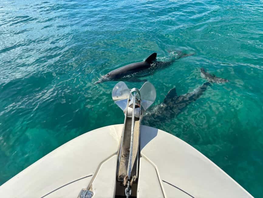 West Palm Beach: Private Boat Tour with a Captain - 2–3 hours vs 4 hours: which option matches your mood